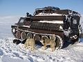 uelen to lav 020